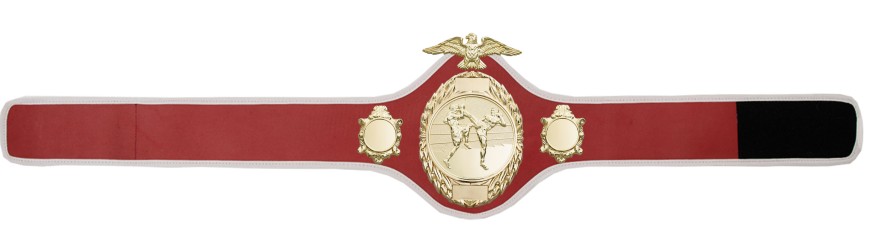 THAI BOXING CHAMPIONSHIP BELT - PRO288/G/TBOG - 10 COLOURS